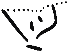 Image of the occurrence